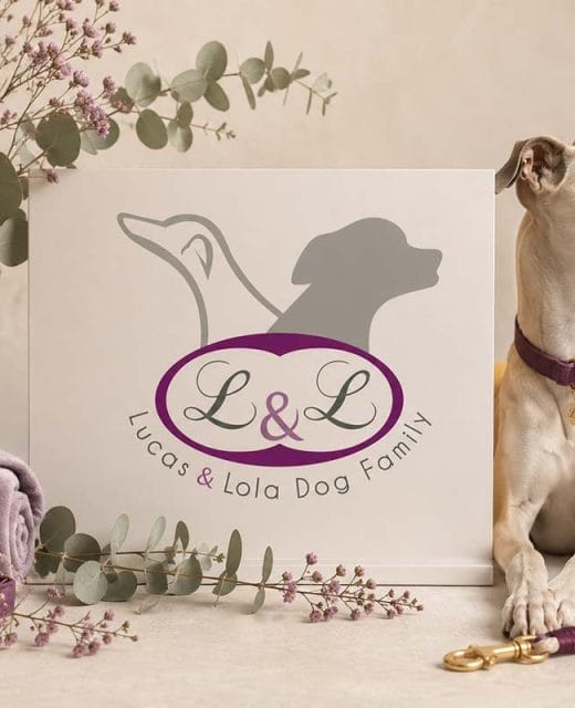 portfolio Lucas y Lola